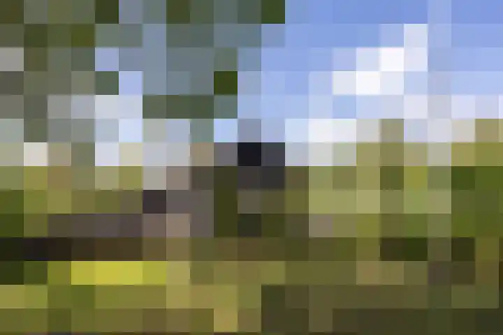 De Plassen Noord 166 Breukelen thumbnail 22