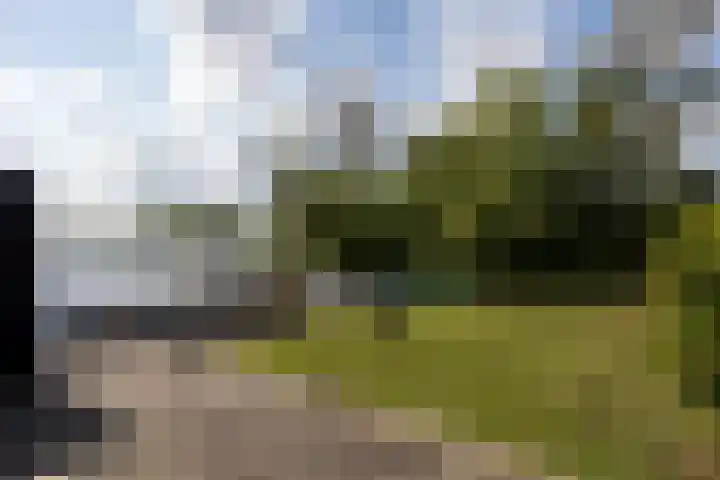De Plassen Noord 166 Breukelen thumbnail 23
