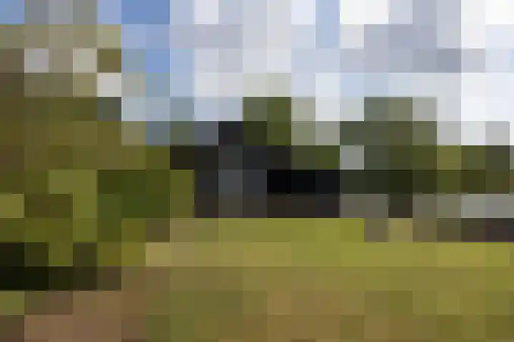 De Plassen Noord 166 Breukelen thumbnail 25