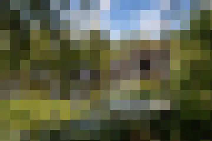 De Plassen Noord 166 Breukelen thumbnail 26