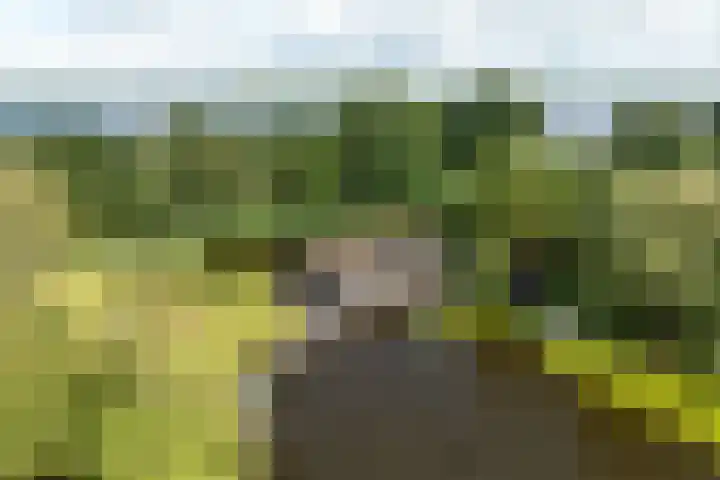 De Plassen Noord 166 Breukelen thumbnail 27