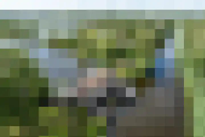 De Plassen Noord 166 Breukelen thumbnail 29