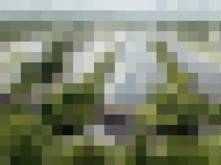 De Plassen Noord 166 Breukelen thumbnail 30