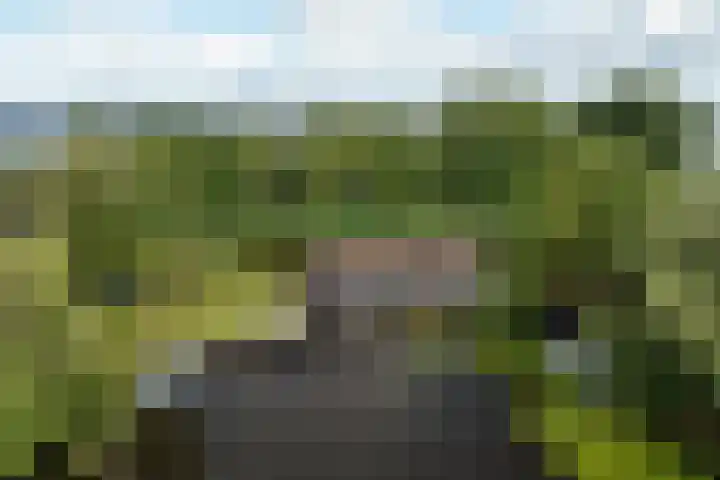 De Plassen Noord 166 Breukelen thumbnail 34