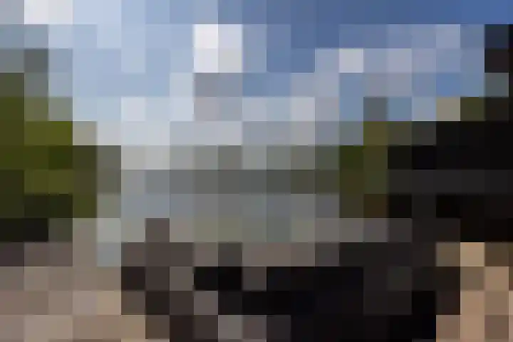 De Plassen Noord 166 Breukelen thumbnail 4