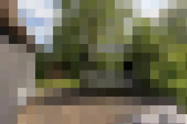 De Plassen Noord 166 Breukelen thumbnail 5