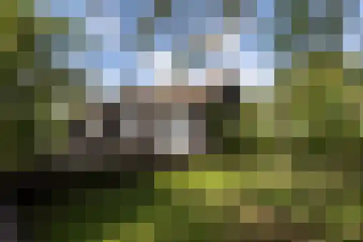 De Plassen Noord 166 Breukelen thumbnail 6