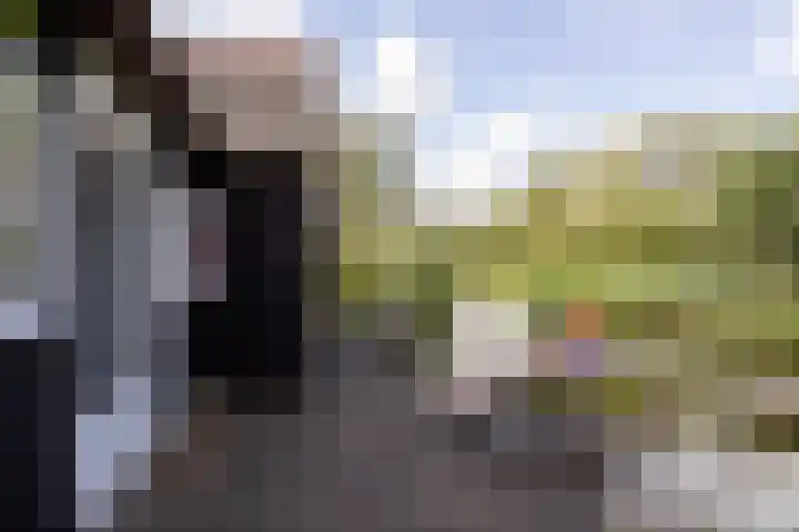 De Plassen Noord 166 Breukelen thumbnail 7
