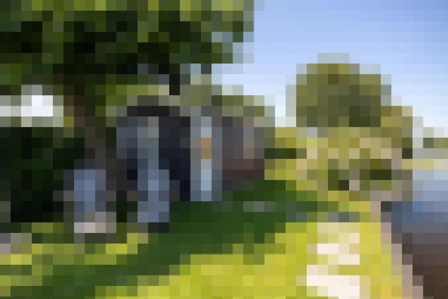 De Plassen Noord 185 Breukelen thumbnail 24