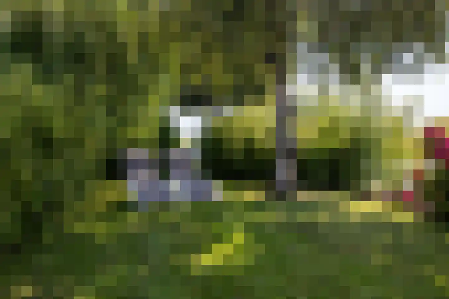 De Plassen Noord 185 Breukelen thumbnail 31