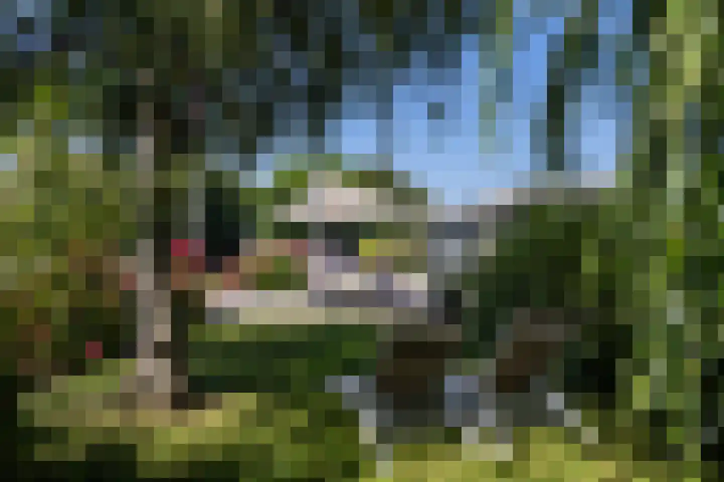 De Plassen Noord 185 Breukelen thumbnail 32