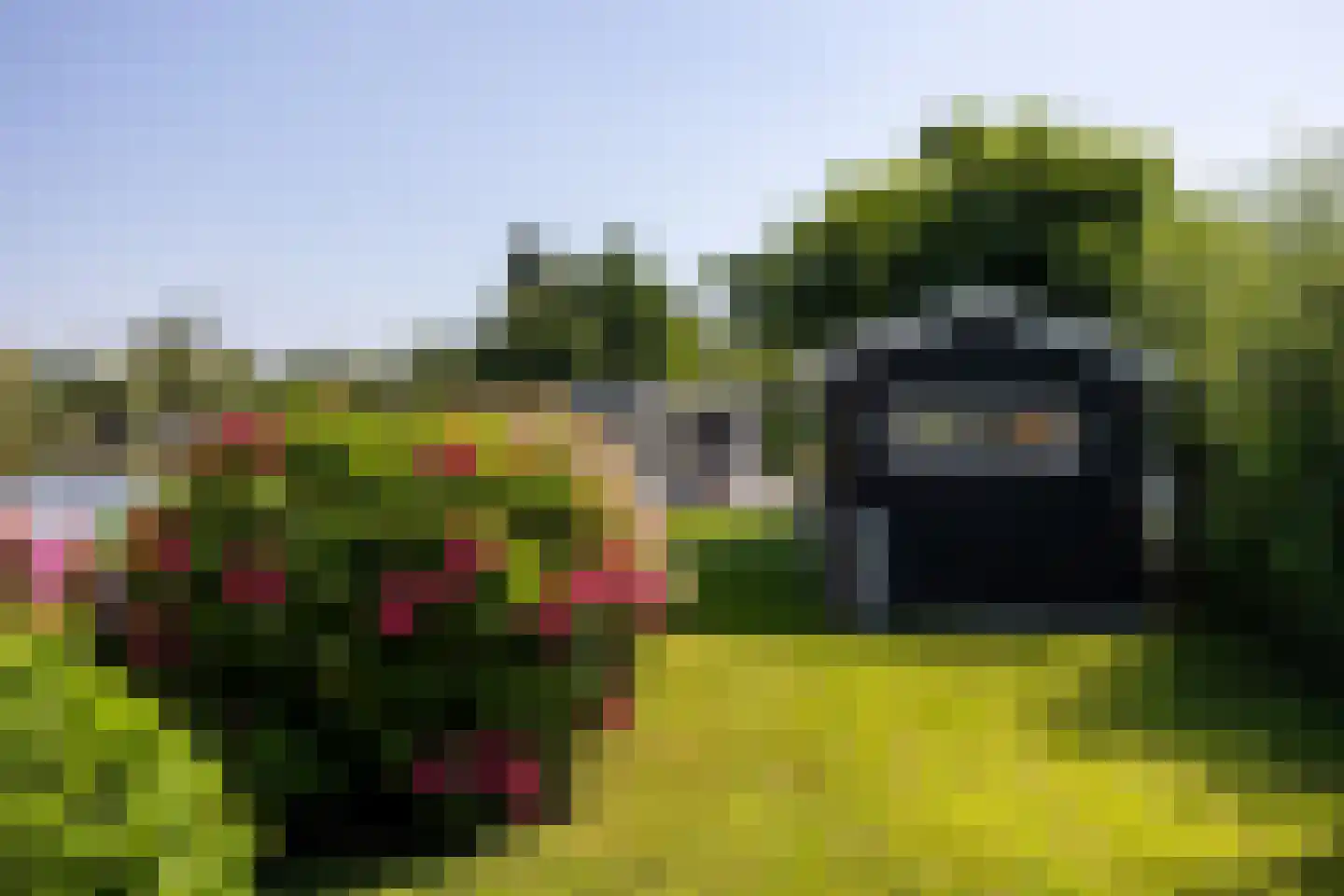 De Plassen Noord 185 Breukelen thumbnail 40
