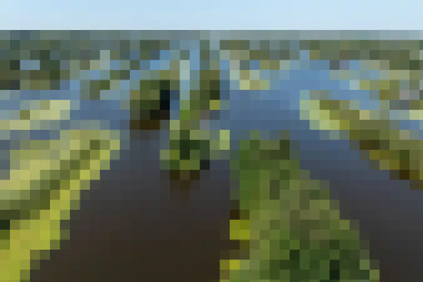 De Plassen Noord 185 Breukelen thumbnail 46