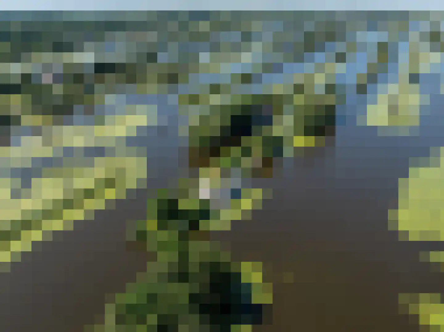 De Plassen Noord 185 Breukelen thumbnail 47