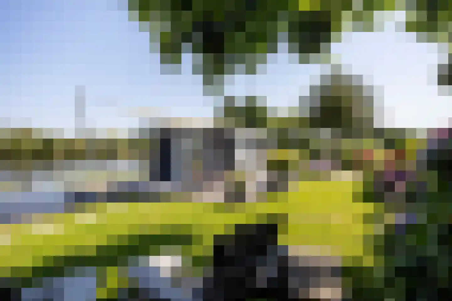 De Plassen Noord 185 Breukelen thumbnail 7