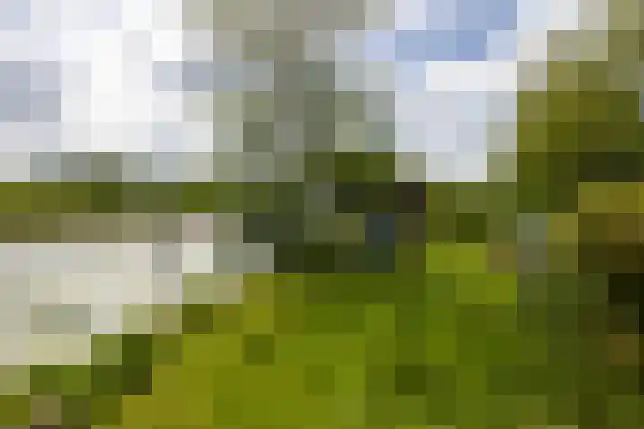 De Plassen Noord 200 Breukelen thumbnail 14