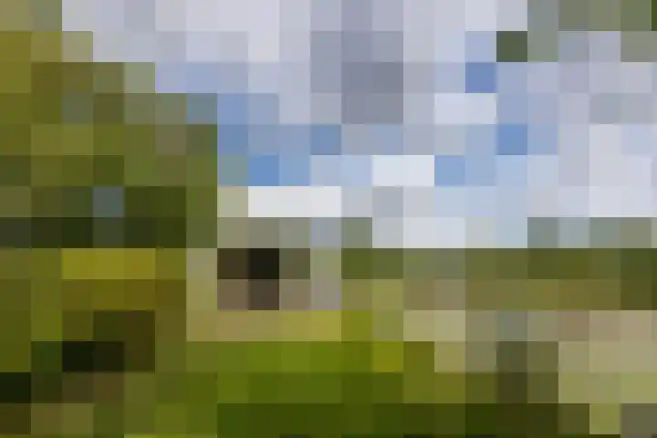 De Plassen Noord 200 Breukelen thumbnail 15