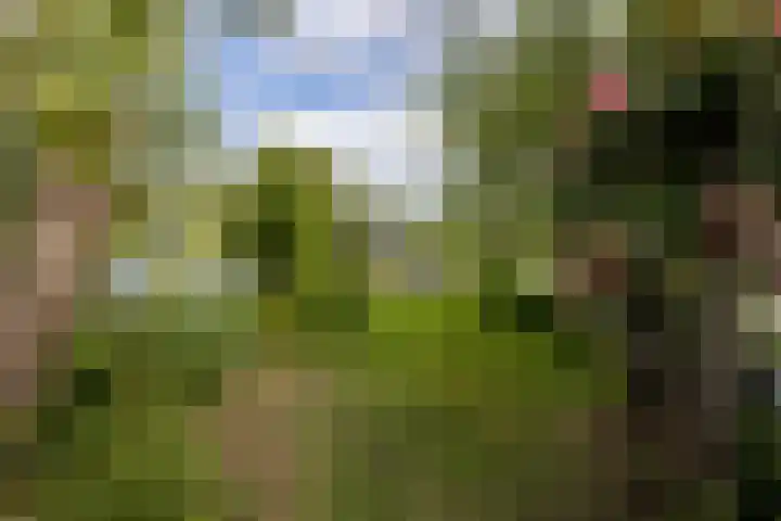 De Plassen Noord 200 Breukelen thumbnail 16