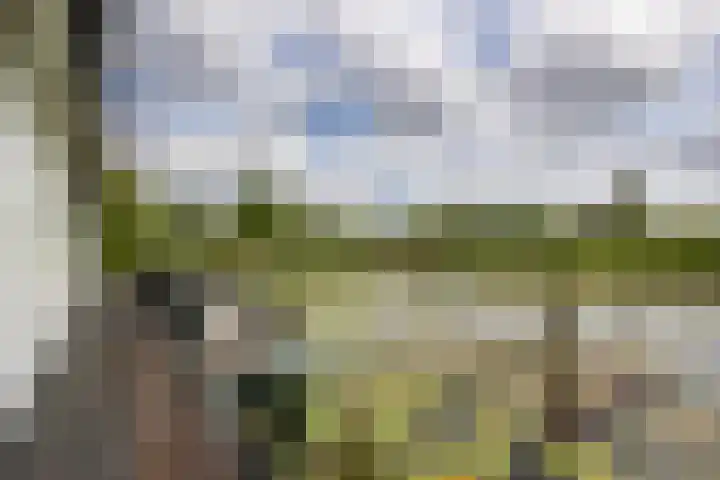De Plassen Noord 200 Breukelen thumbnail 17