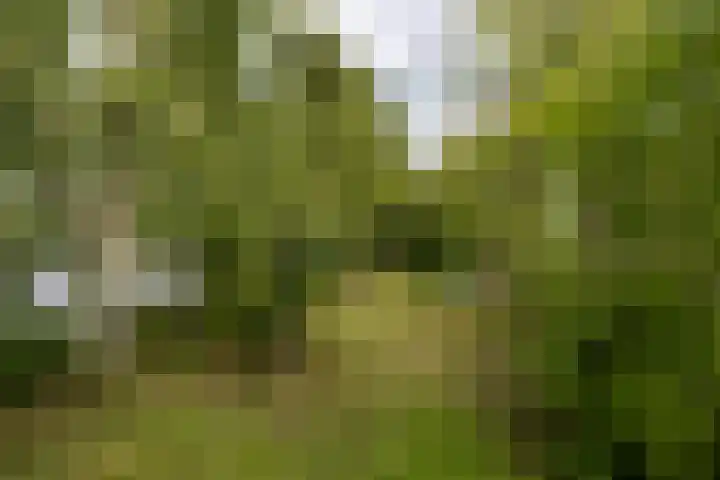 De Plassen Noord 200 Breukelen thumbnail 18