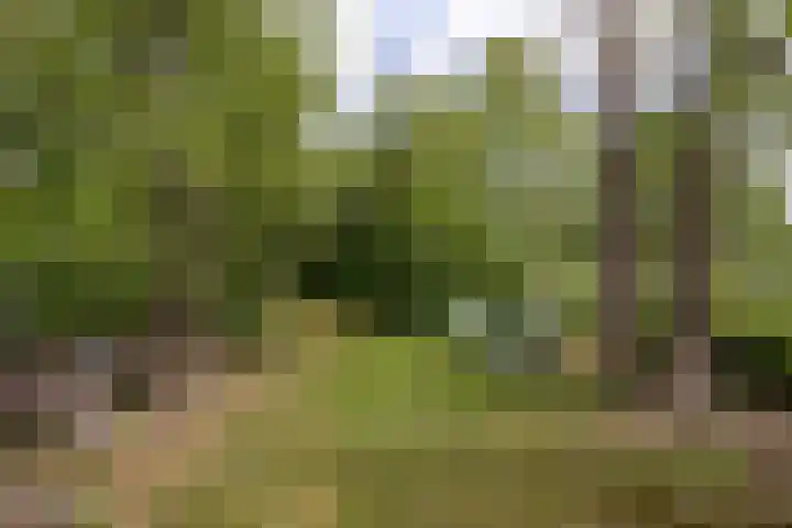 De Plassen Noord 200 Breukelen thumbnail 19