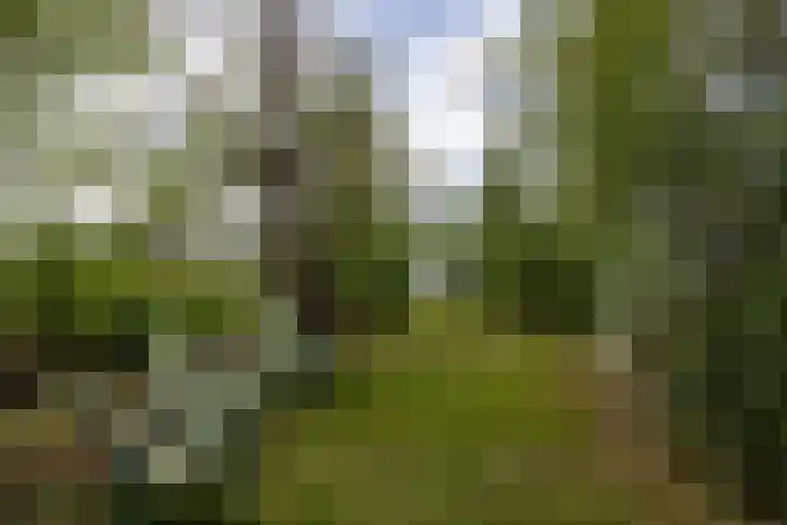 De Plassen Noord 200 Breukelen thumbnail 20