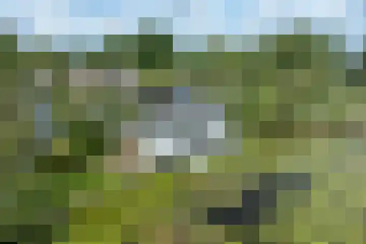 De Plassen Noord 200 Breukelen thumbnail 21