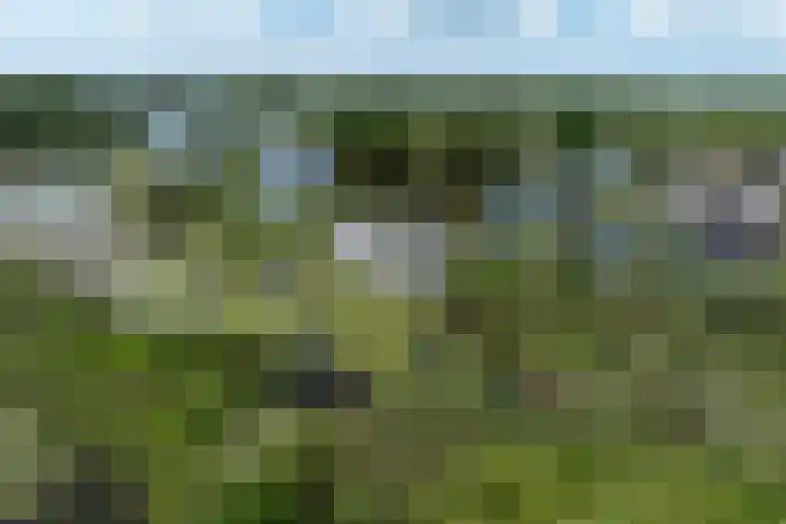 De Plassen Noord 200 Breukelen thumbnail 22