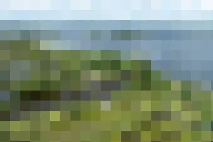 De Plassen Noord 200 Breukelen thumbnail 23