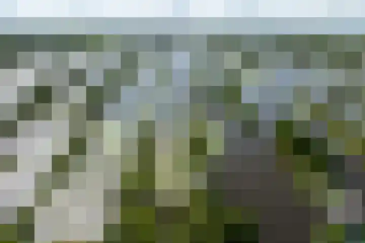 De Plassen Noord 200 Breukelen thumbnail 24