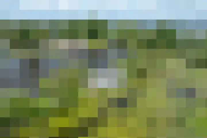 De Plassen Noord 200 Breukelen thumbnail 29