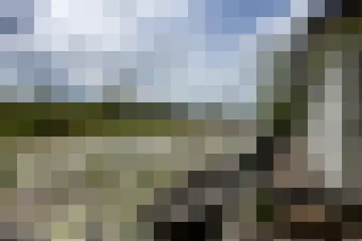De Plassen Noord 200 Breukelen thumbnail 4
