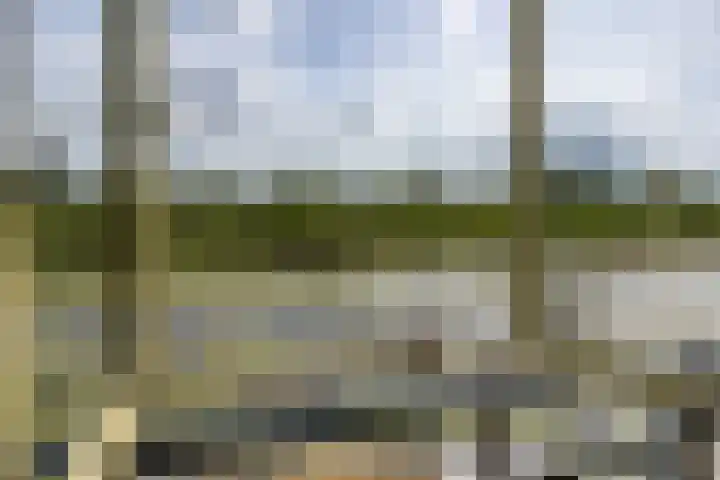 De Plassen Noord 200 Breukelen thumbnail 6