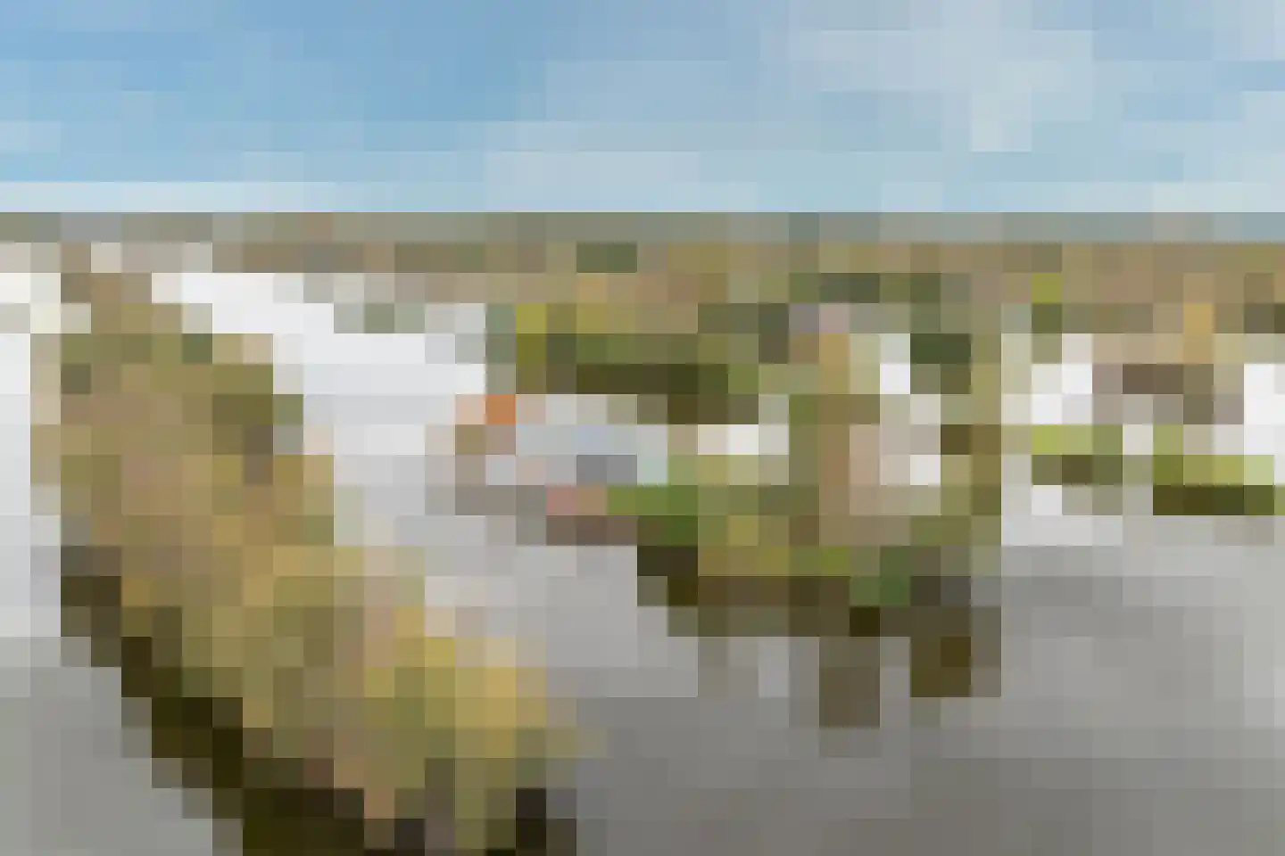 De Plassen Noord 259 Breukelen thumbnail 28