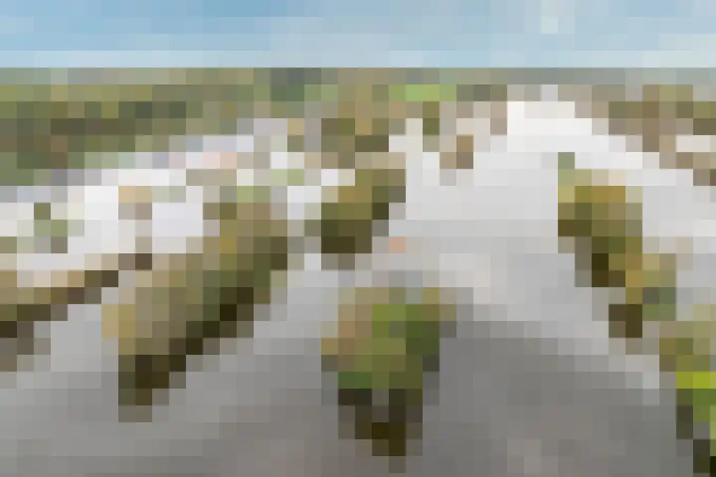 De Plassen Noord 259 Breukelen thumbnail 29