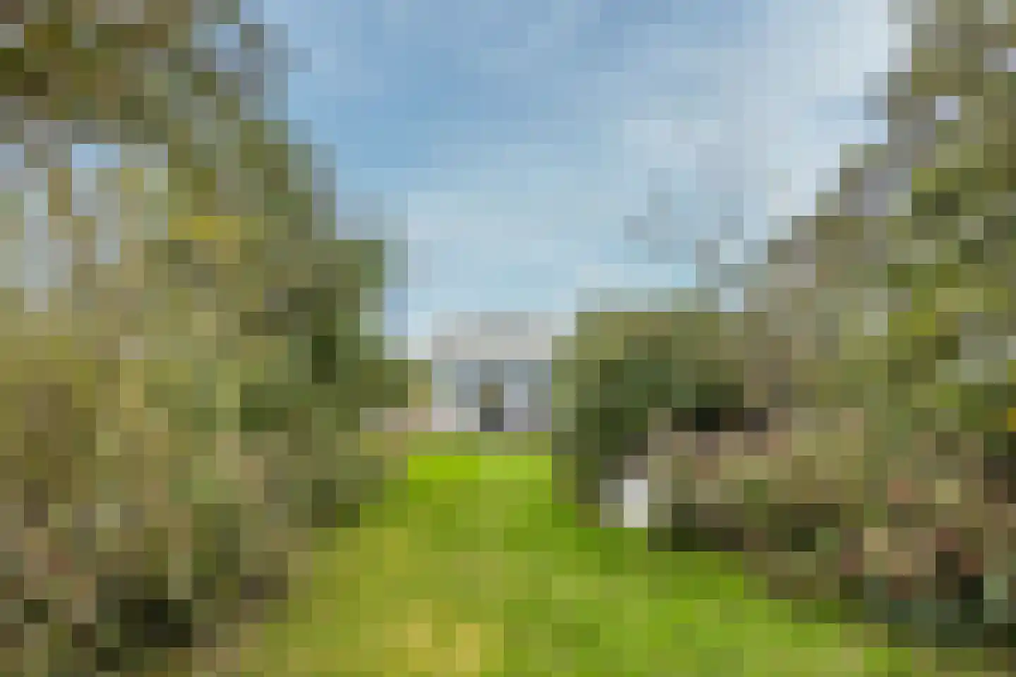 De Plassen Noord 259 Breukelen thumbnail 7