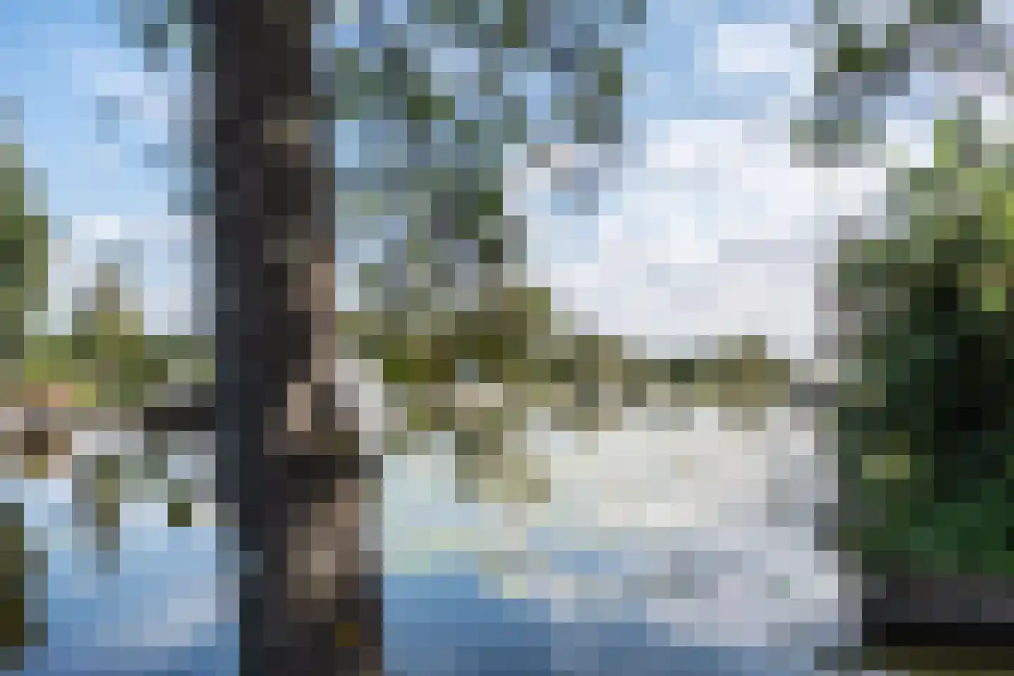 De Plassen Noord 284 Breukelen thumbnail 10