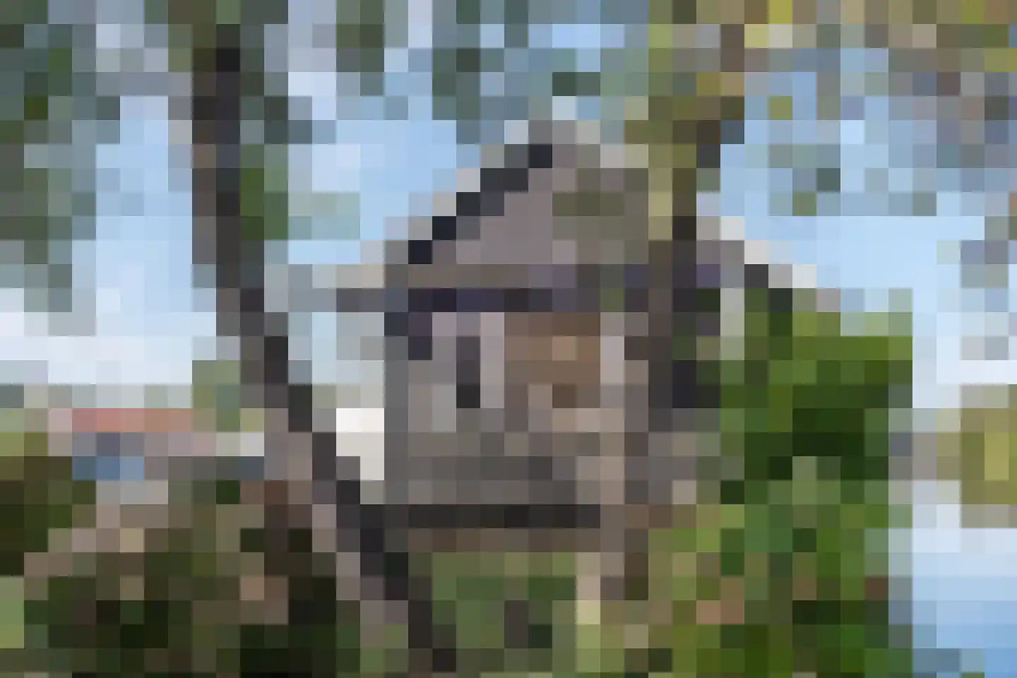 De Plassen Noord 284 Breukelen thumbnail 11