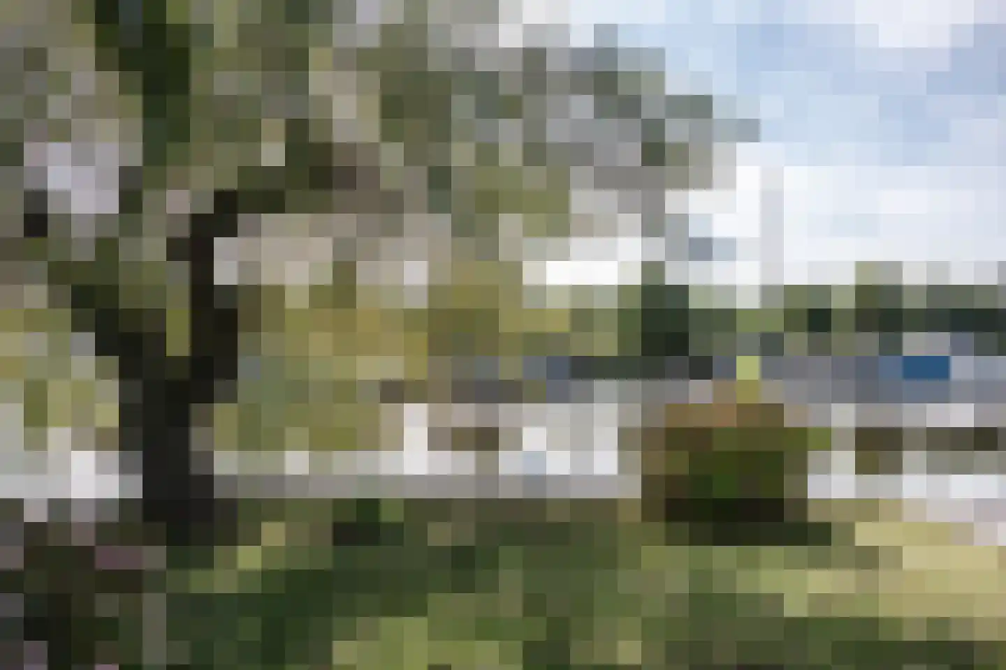 De Plassen Noord 284 Breukelen thumbnail 12