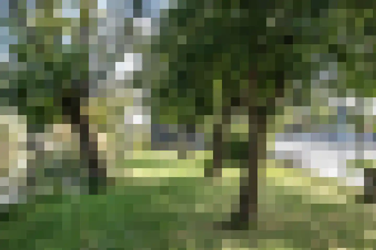 De Plassen Noord 284 Breukelen thumbnail 13