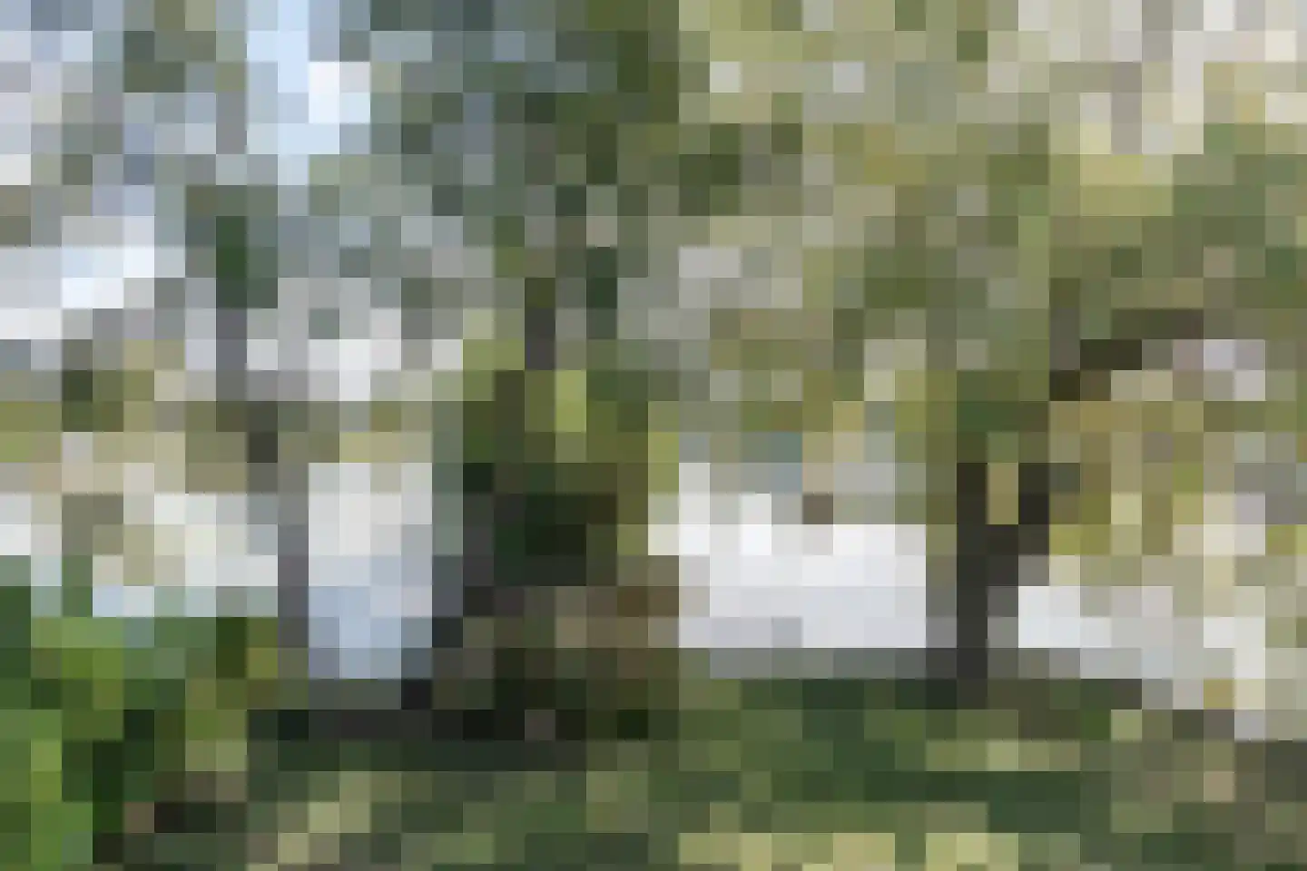 De Plassen Noord 284 Breukelen thumbnail 25
