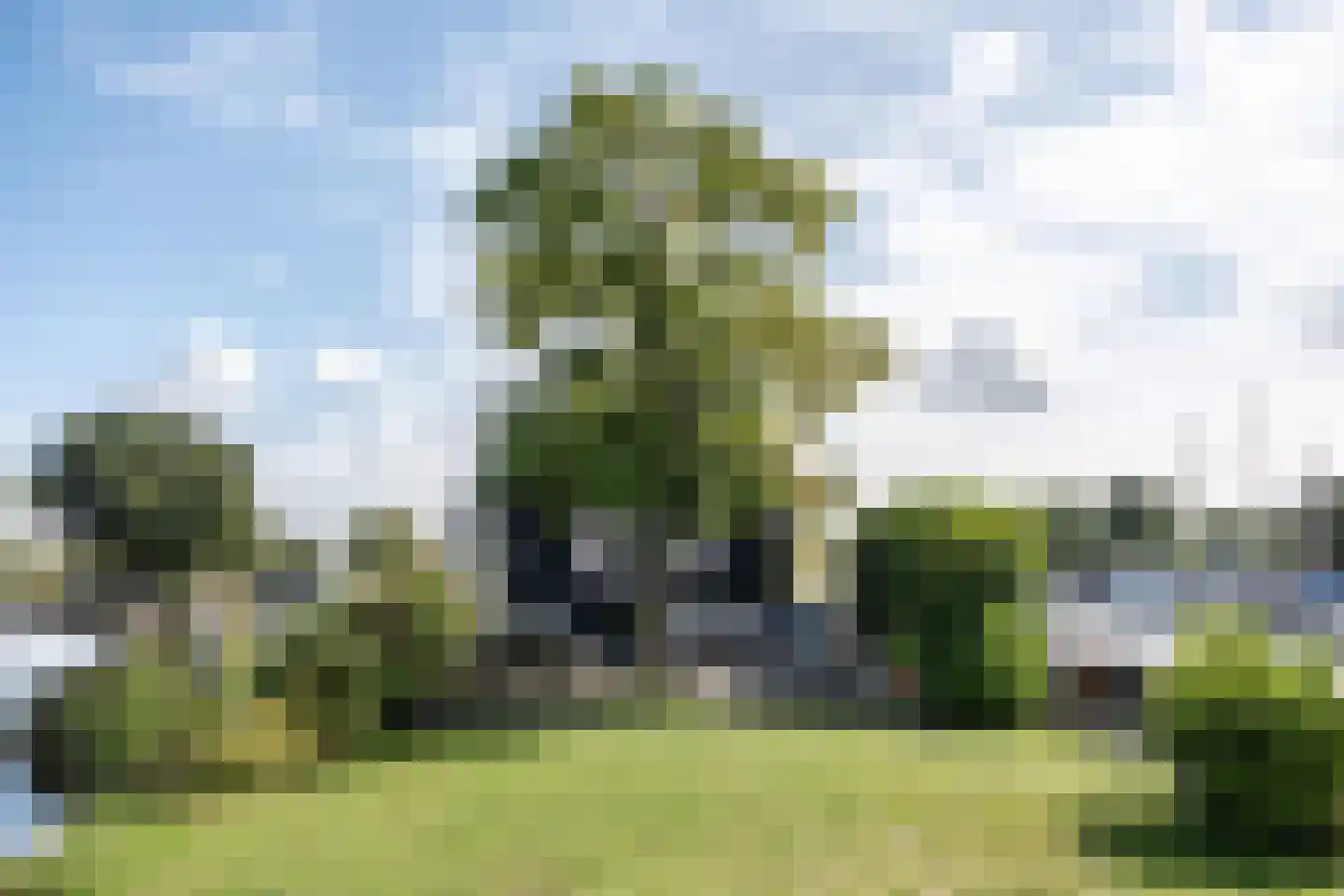 De Plassen Noord 284 Breukelen thumbnail 6