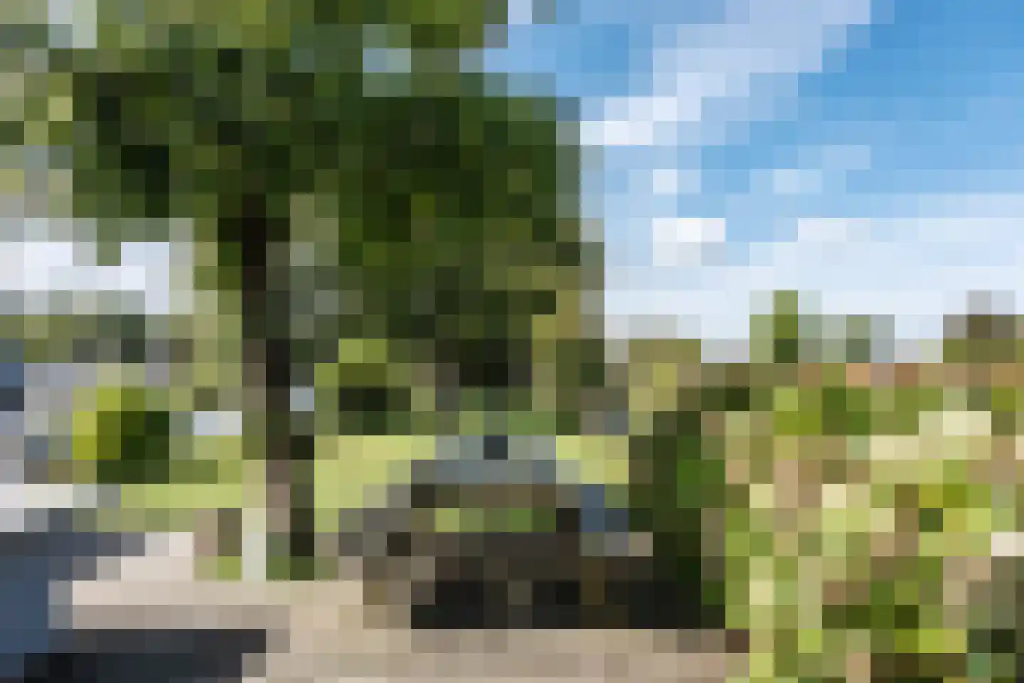 De Plassen Noord 284 Breukelen thumbnail 8