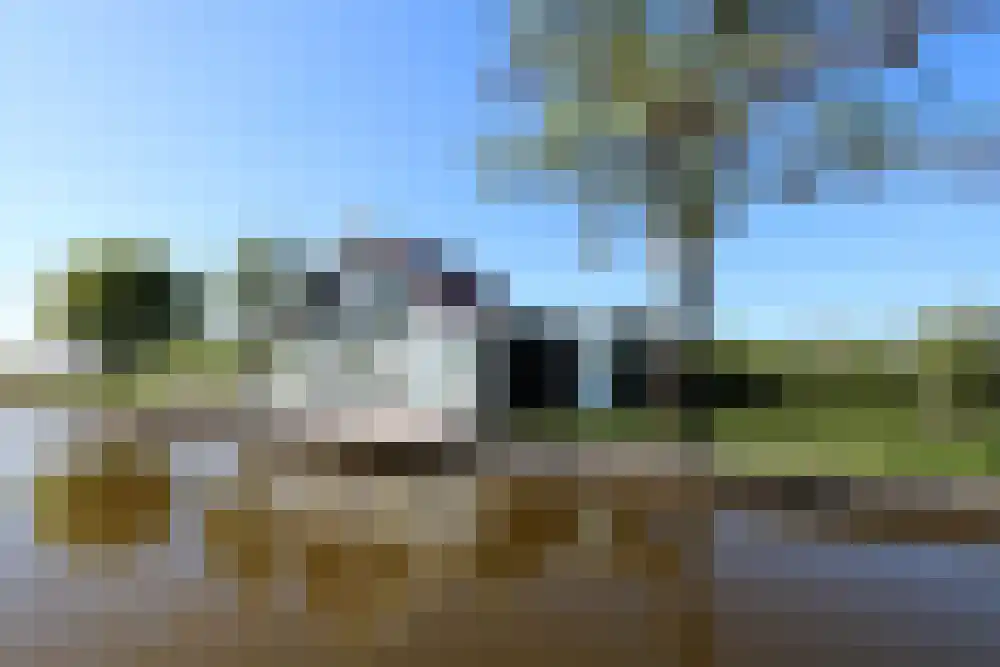 De Plassen Noord 66 Breukelen thumbnail 10