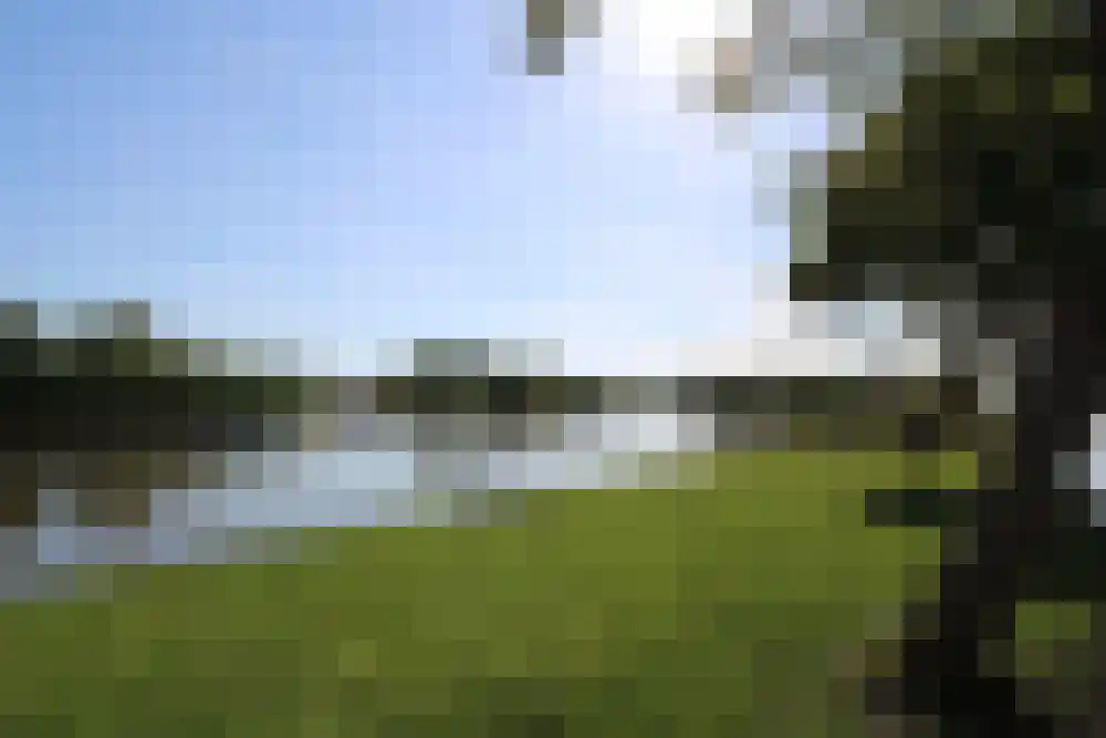 De Plassen Noord 66 Breukelen thumbnail 12