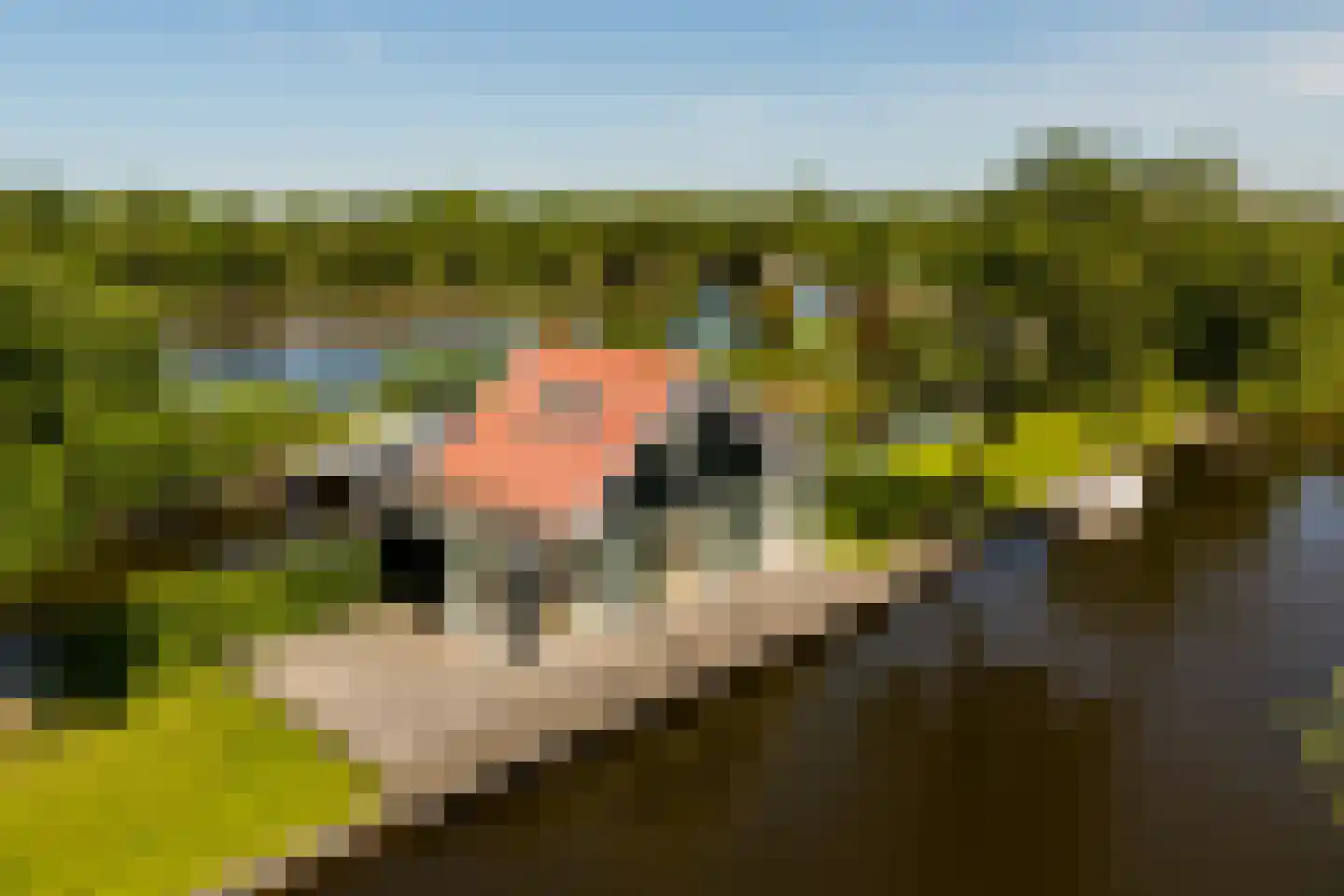 De Plassen Noord 66 Breukelen foto 2