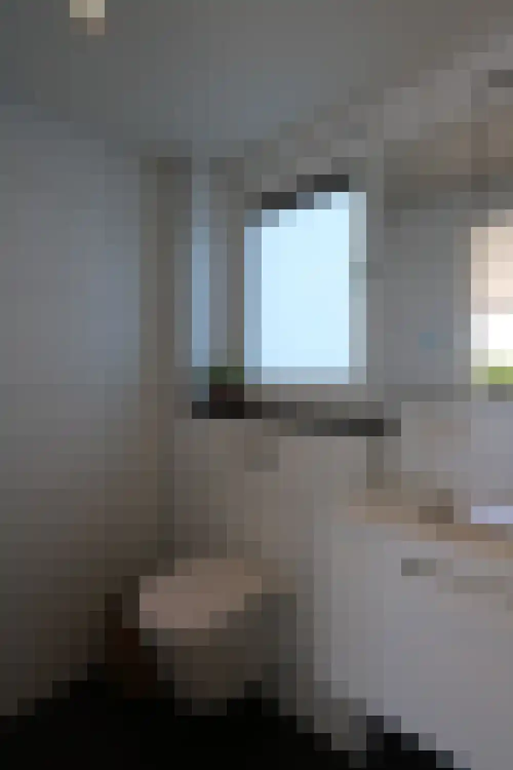 De Plassen Noord 66 Breukelen thumbnail 20
