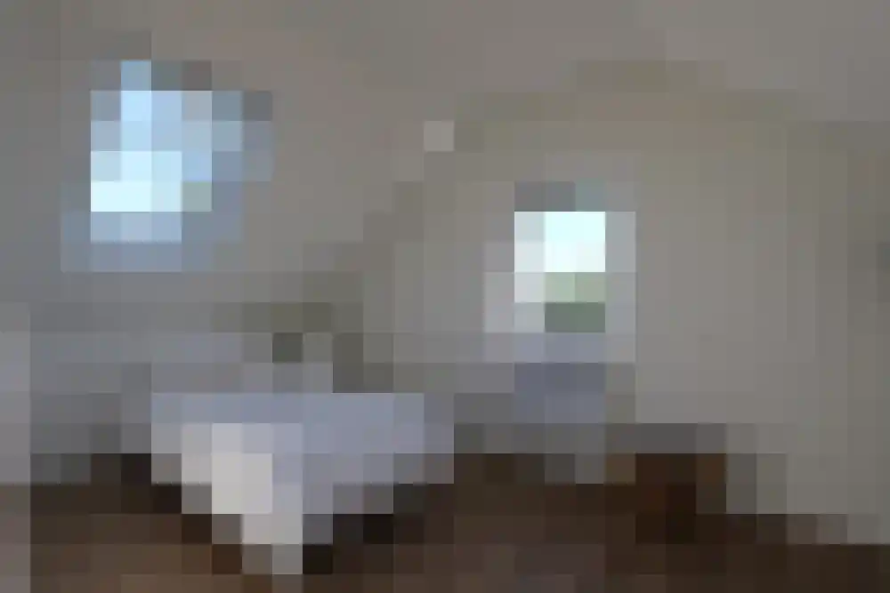 De Plassen Noord 66 Breukelen thumbnail 21