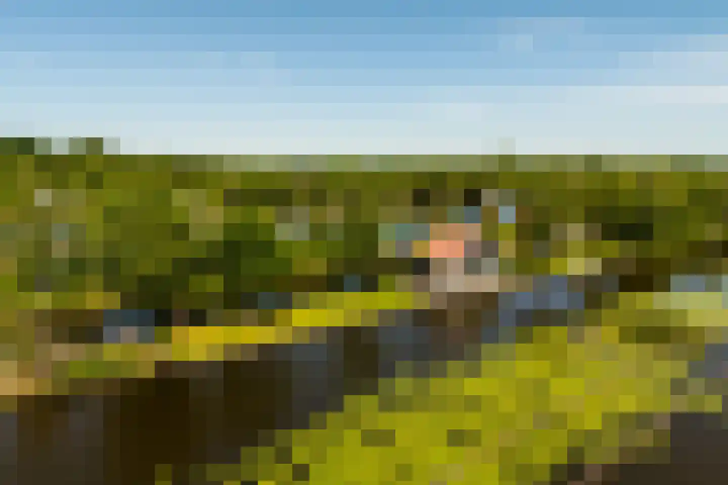 De Plassen Noord 66 Breukelen thumbnail 27