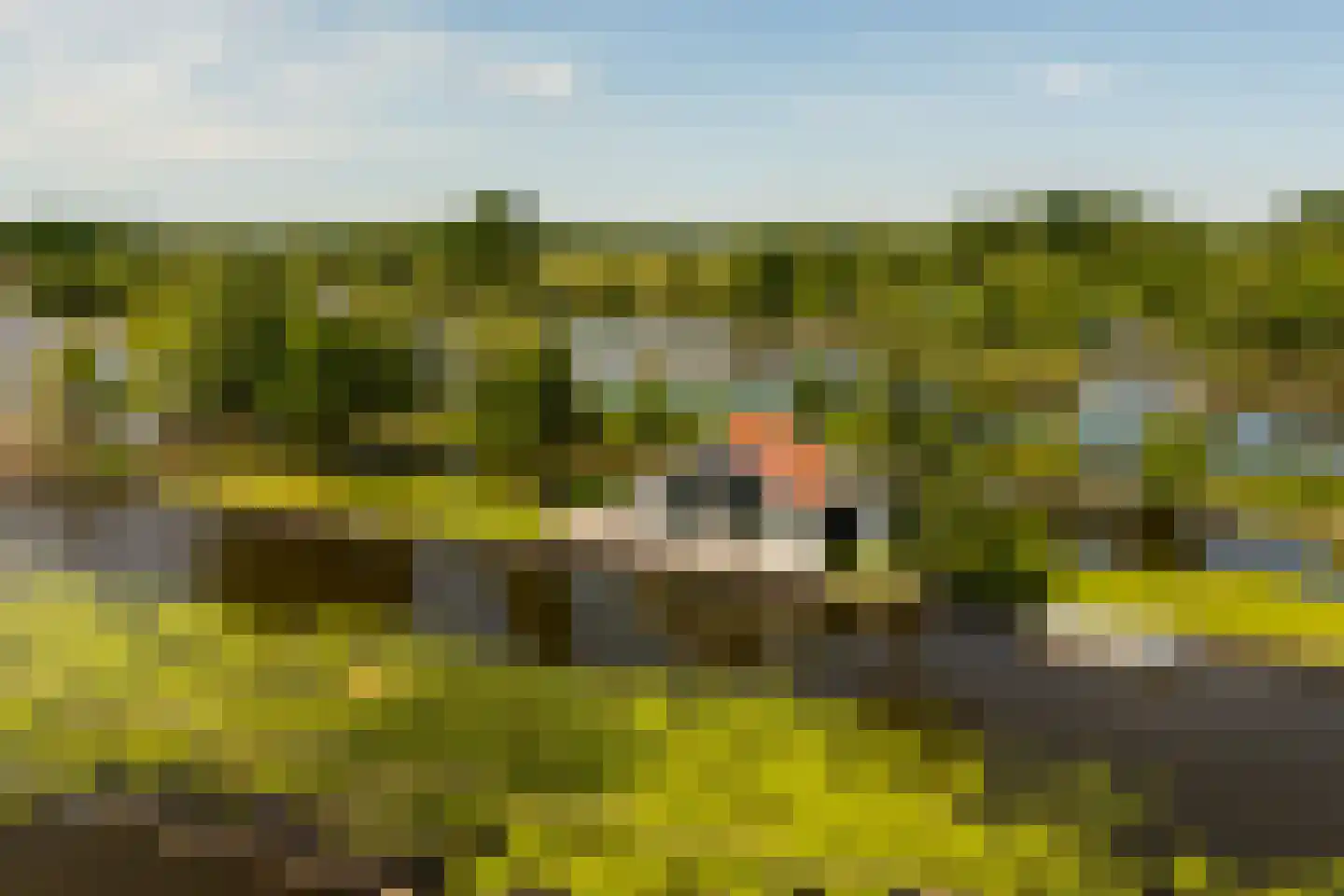 De Plassen Noord 66 Breukelen thumbnail 28